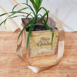 Arquivo de Corte - Cachepô para Plantas